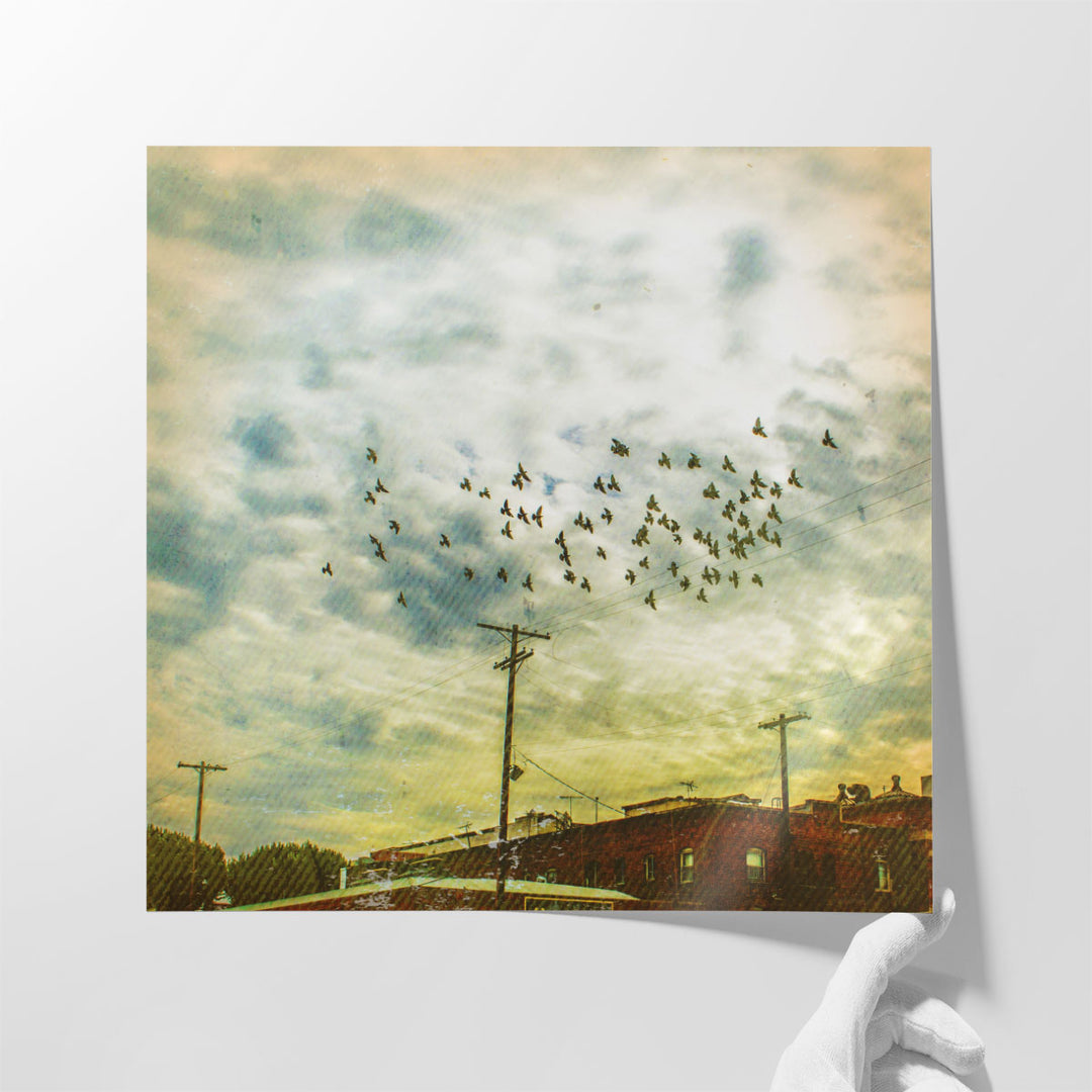 Birds on Wires V - Canvas Print Wall Art