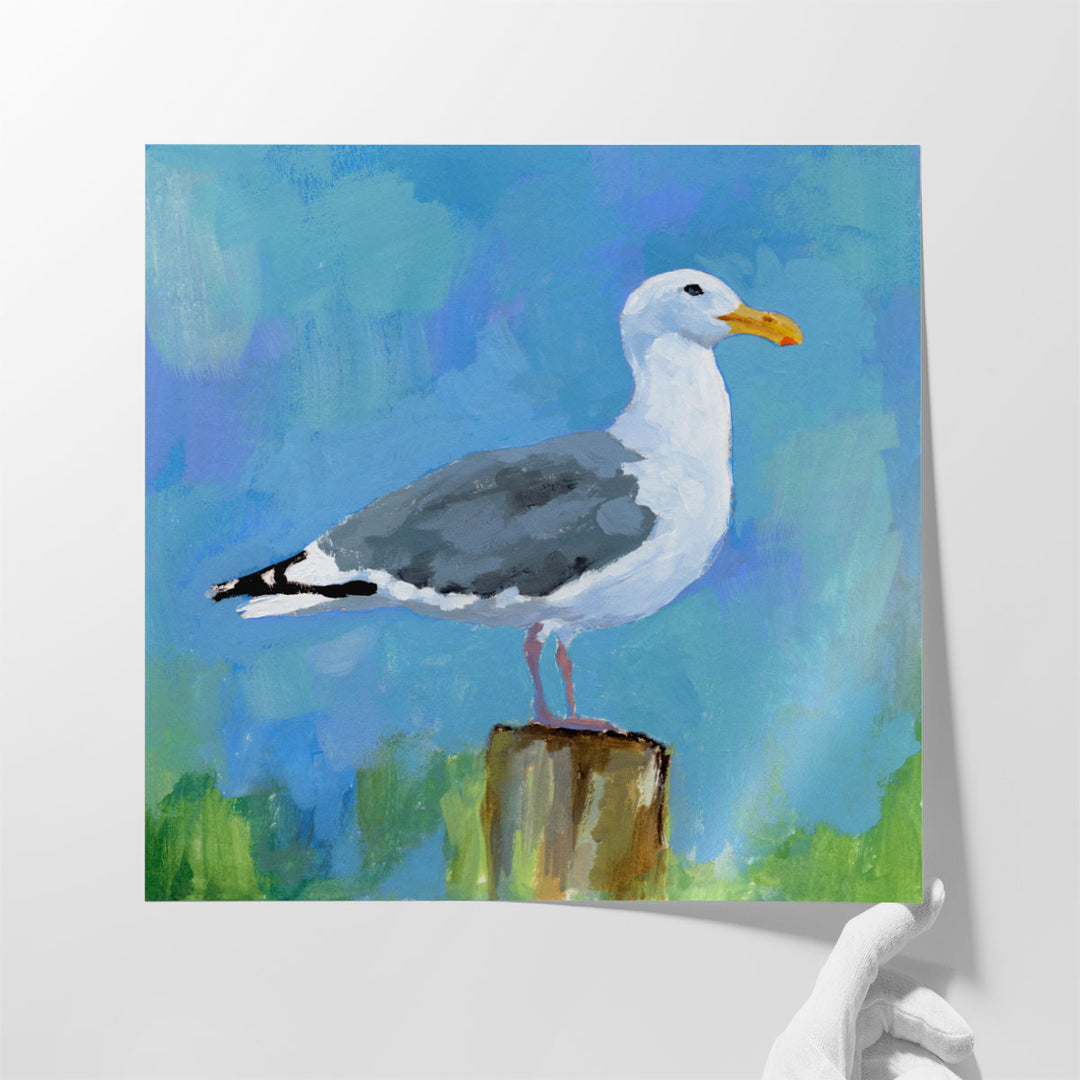 Salty Gull I - Canvas Print Wall Art