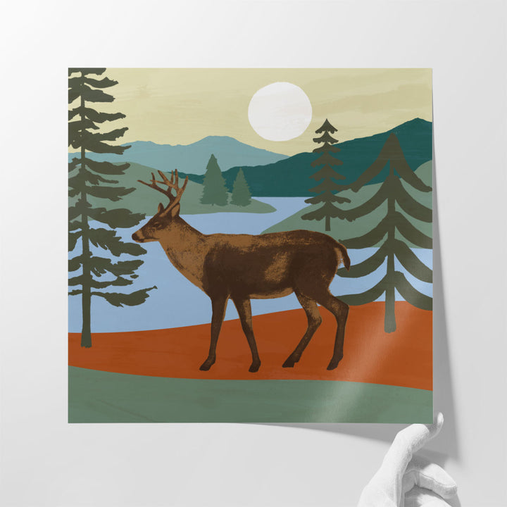 Trailside Animals IV - Canvas Print Wall Art