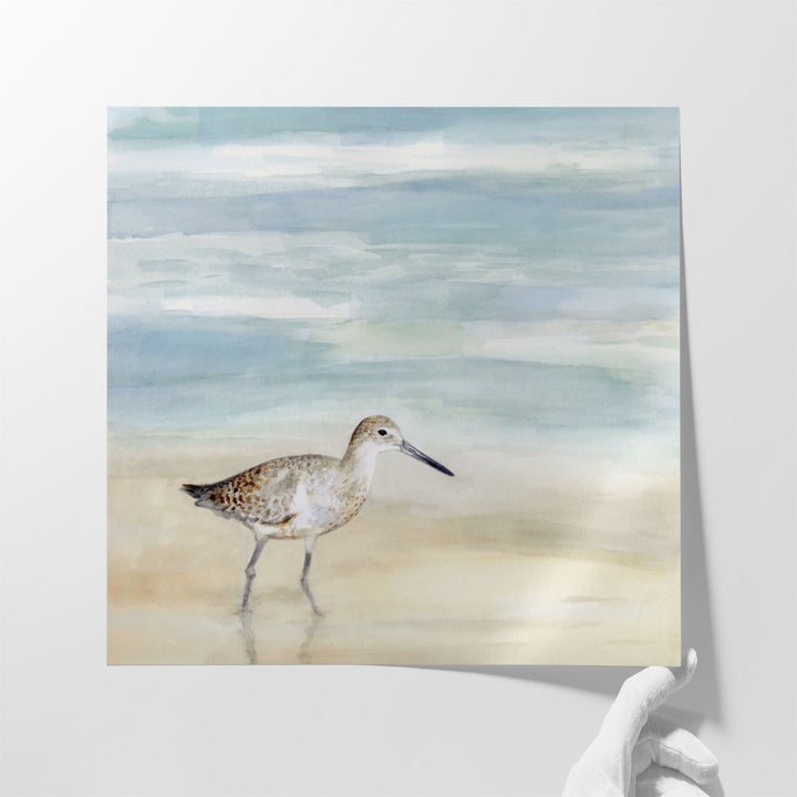 Speckled Willet I - Canvas Print Wall Art