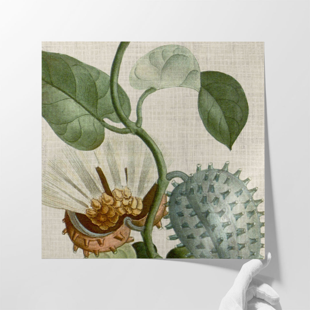 Cropped Turpin Tropicals II - Canvas Print Wall Art