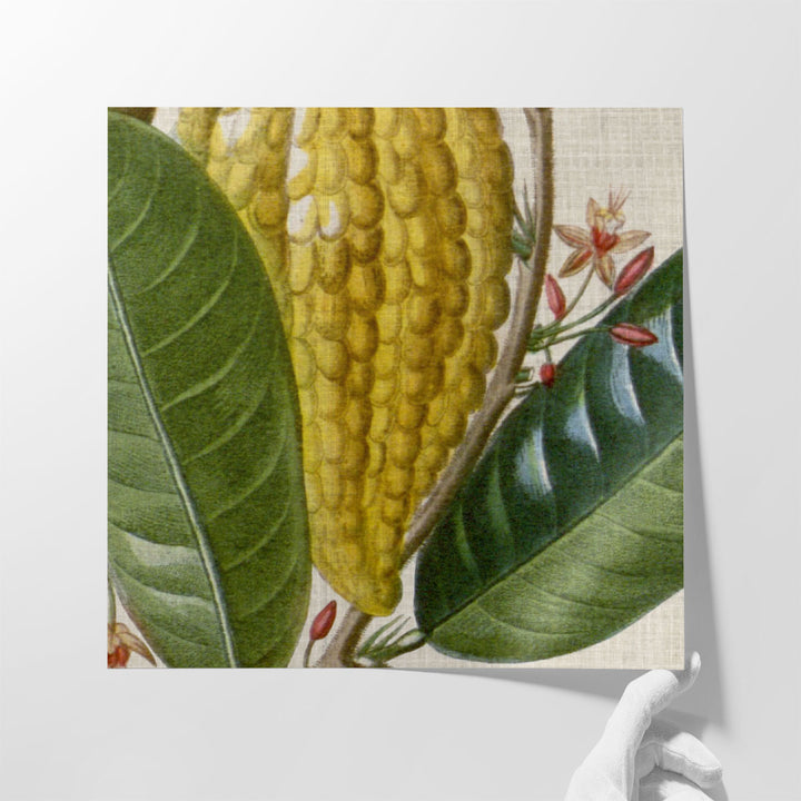 Cropped Turpin Tropicals VI - Canvas Print Wall Art