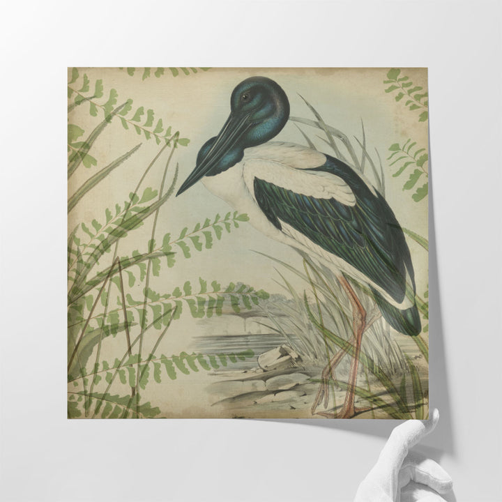 Heron & Ferns I - Canvas Print Wall Art