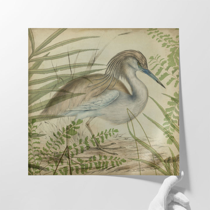 Heron & Ferns II - Canvas Print Wall Art