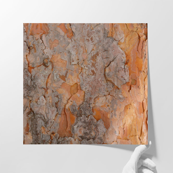 Natures Textures VII - Canvas Print Wall Art