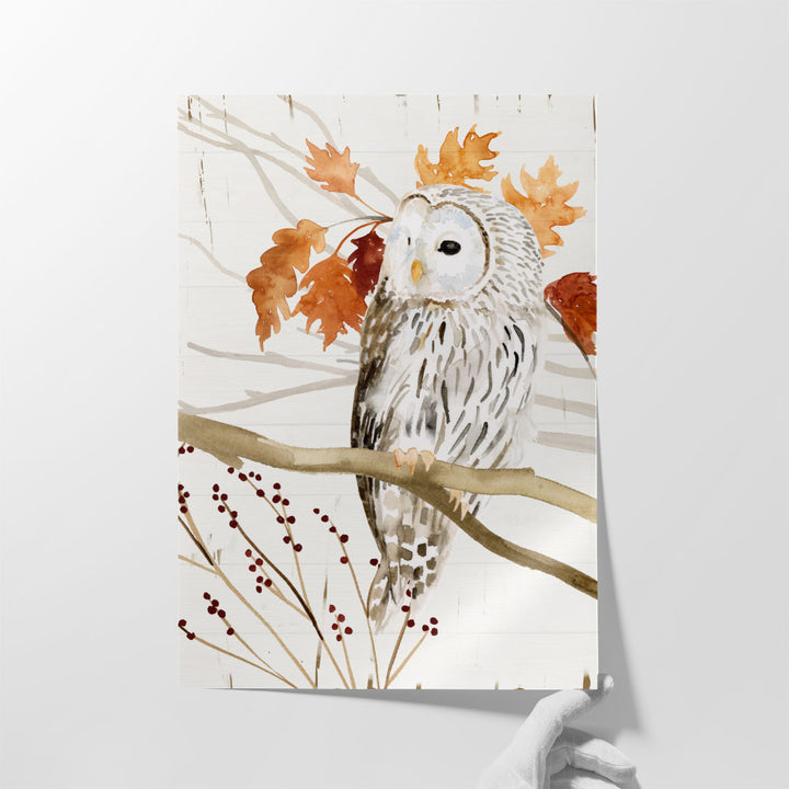 Harvest Owl II - Canvas Print Wall Art