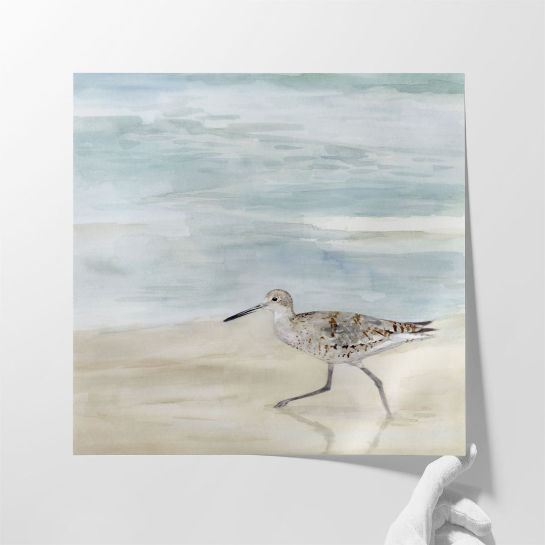 Speckled Willet II - Canvas Print Wall Art