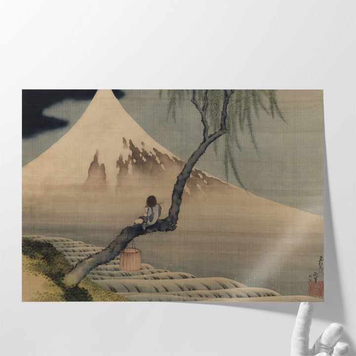 Boy on Mt Fuji - Canvas Print Wall Art