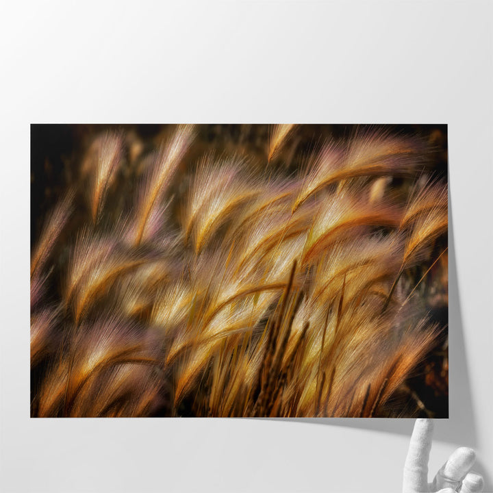 Field Of Grain - Canvas Print Wall Art