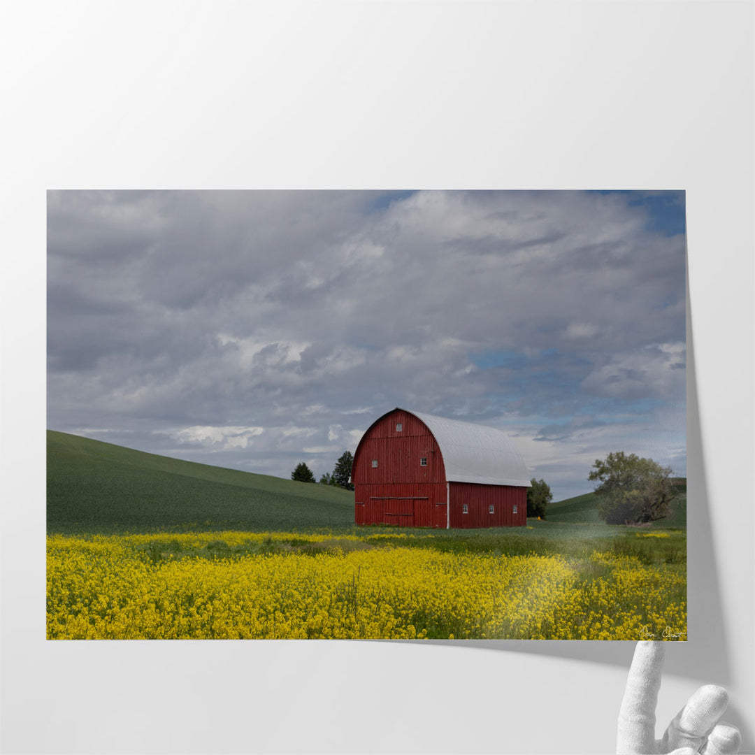 Palouse Barn And Flowers I - Canvas Print Wall Art