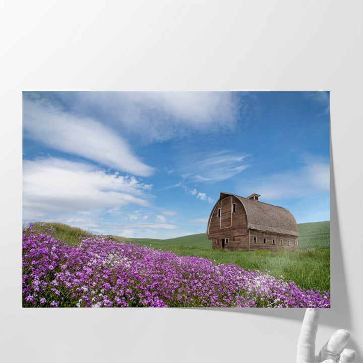 Palouse Barn And Flowers II - Canvas Print Wall Art