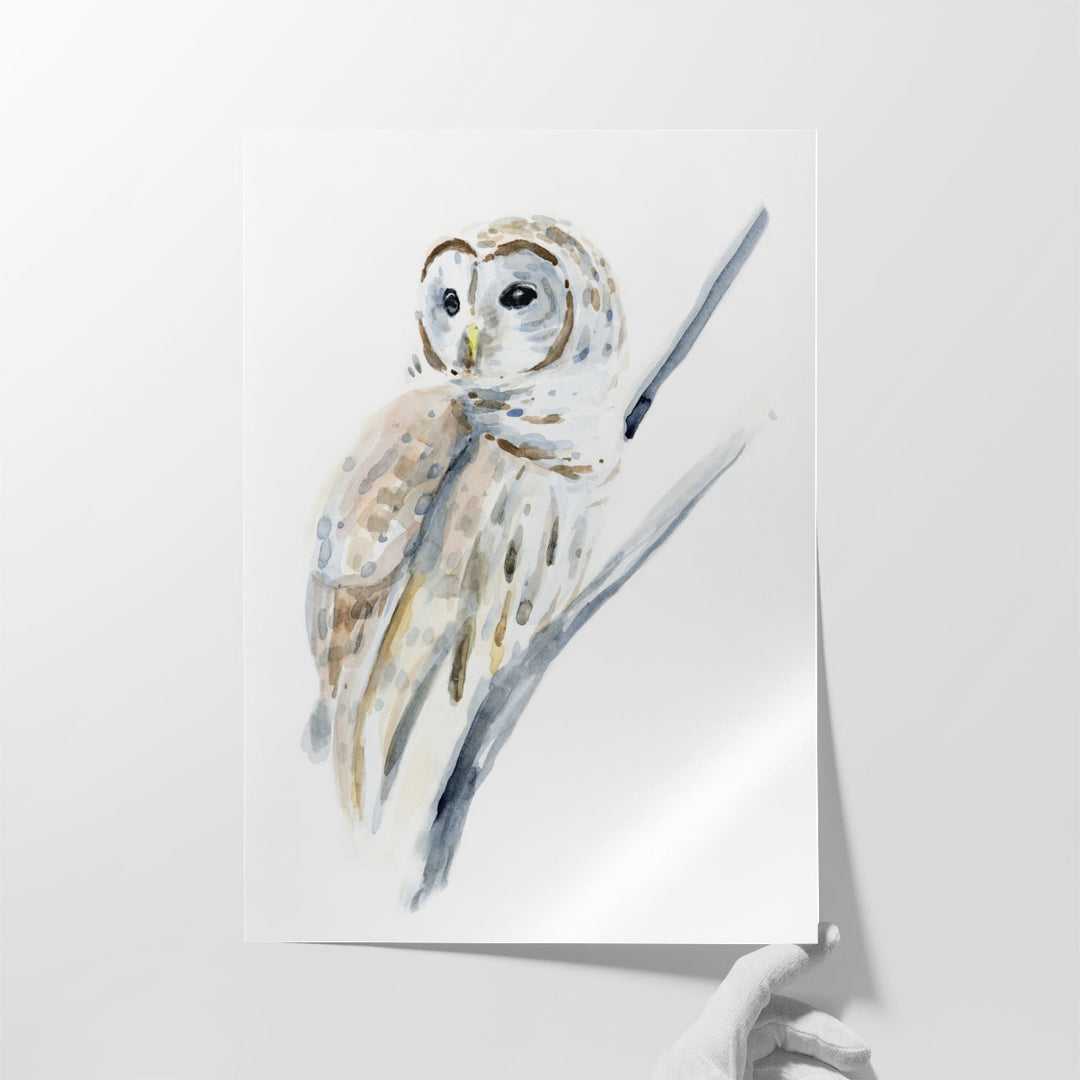 Arctic Owl I - Canvas Print Wall Art