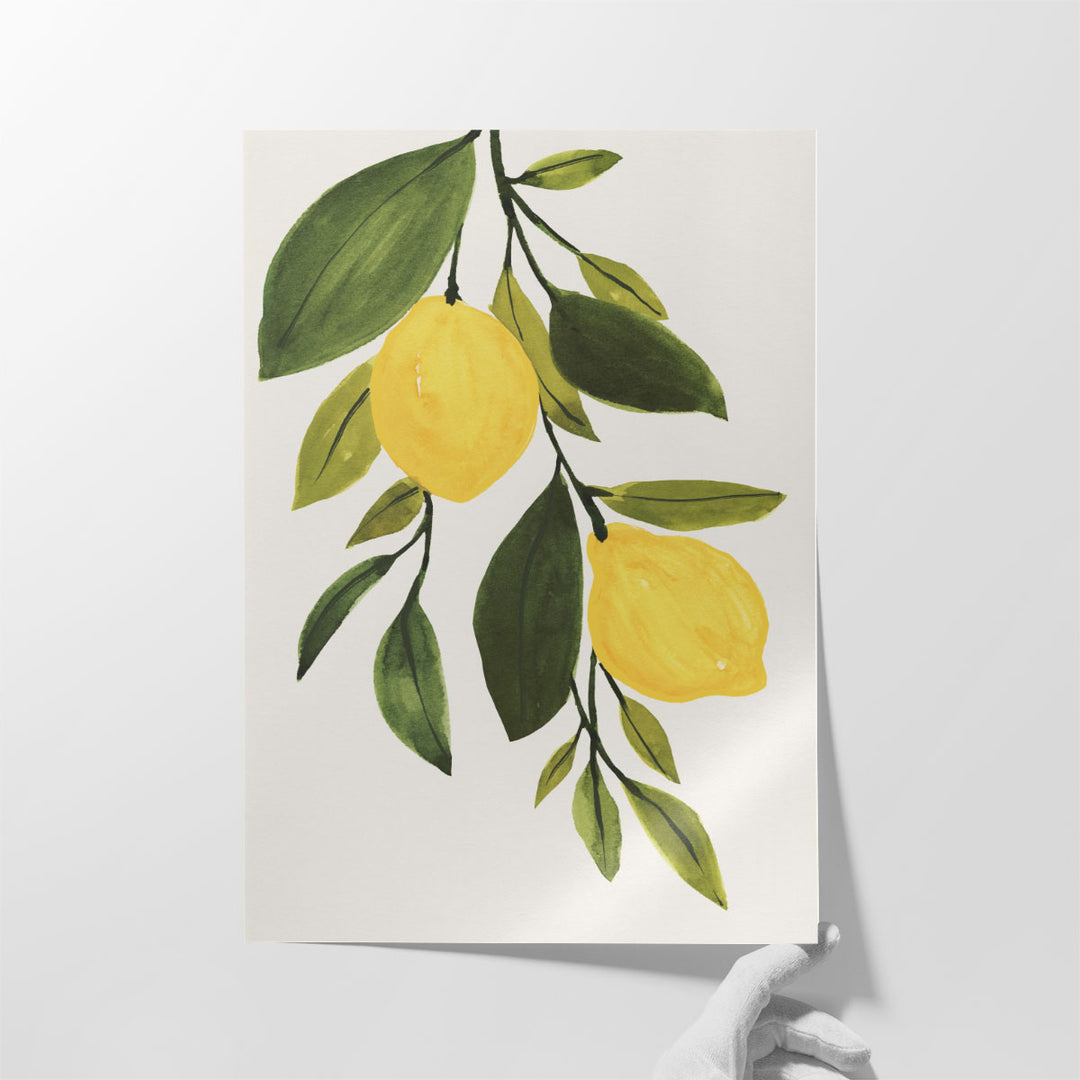 Lemon Branch II - Canvas Print Wall Art