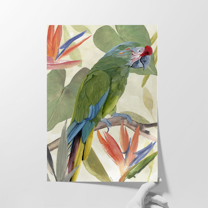 Tropical Parrot Composition I - Canvas Print Wall Art