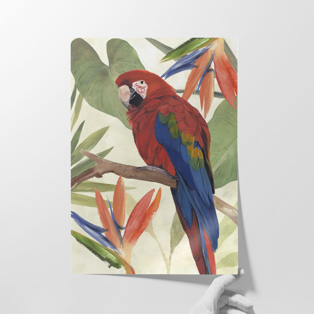 Tropical Parrot Composition II - Canvas Print Wall Art