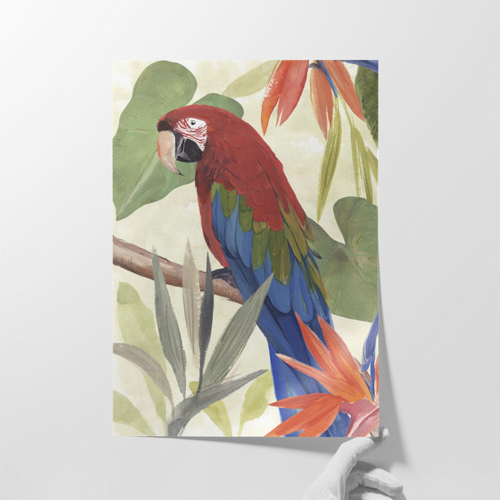 Tropical Parrot Composition III - Canvas Print Wall Art