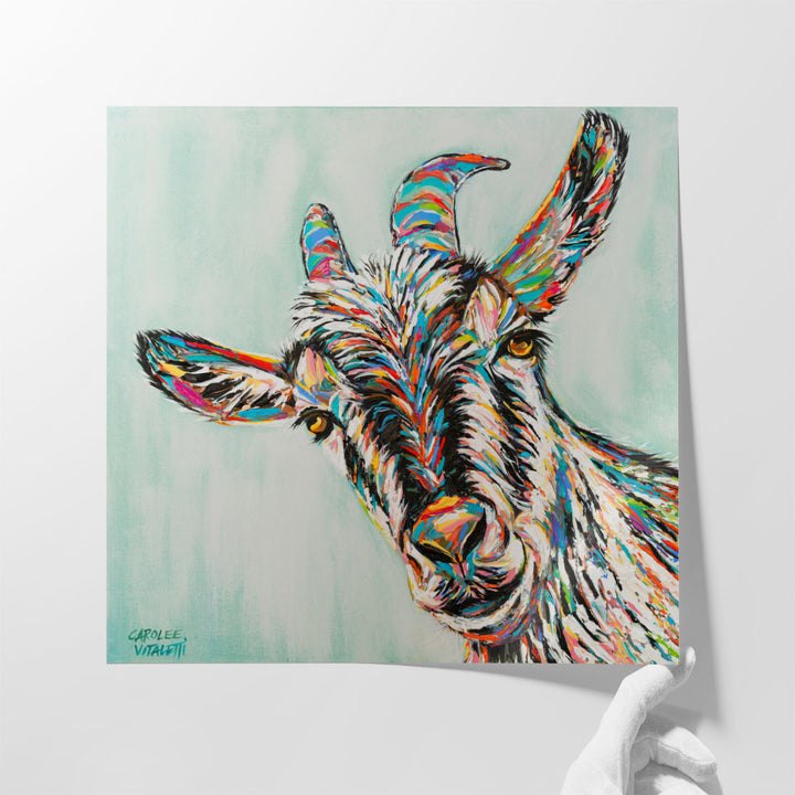 Funny Goat I - Canvas Print Wall Art