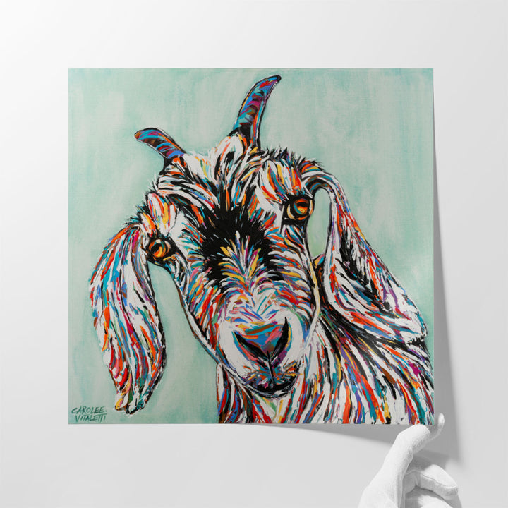 Funny Goat II - Canvas Print Wall Art