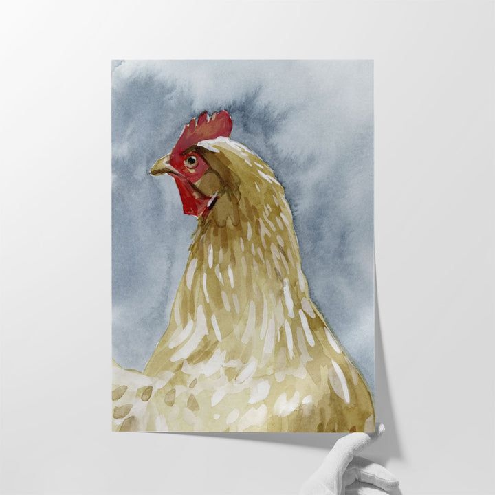 Chicken Portrait I - Canvas Print Wall Art