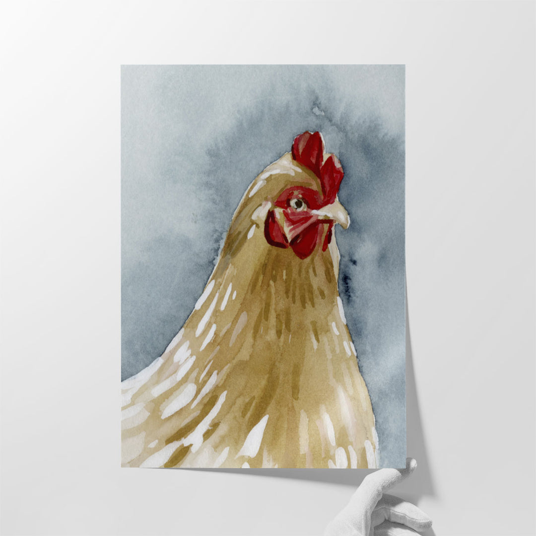 Chicken Portrait II - Canvas Print Wall Art