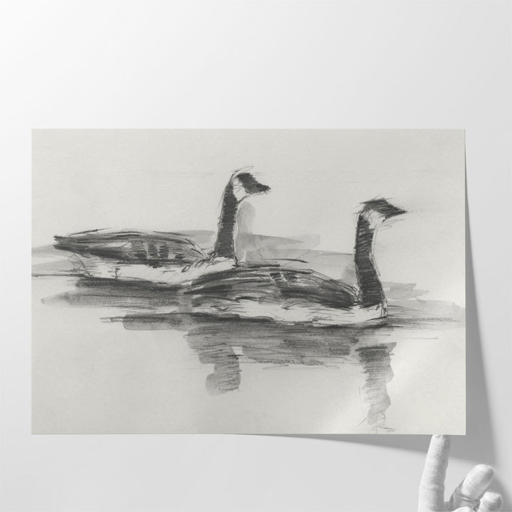 Geese Study I - Canvas Print Wall Art