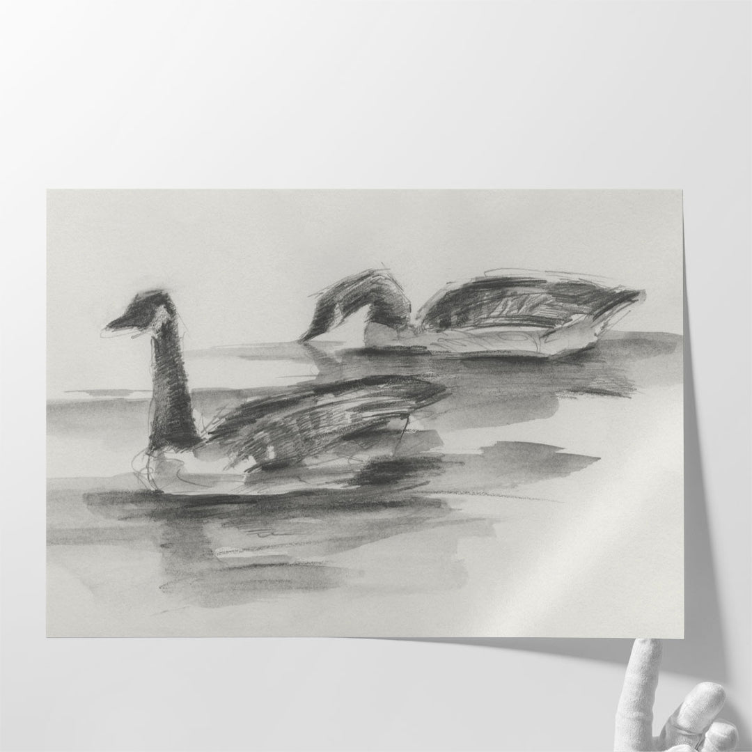 Geese Study II - Canvas Print Wall Art