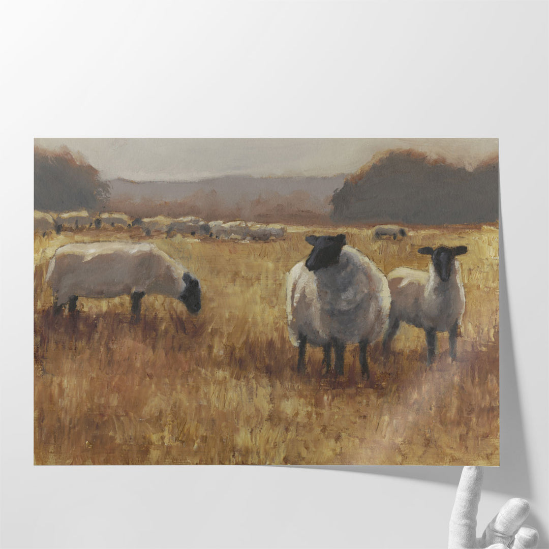 Grazing at Sunset II - Canvas Print Wall Art