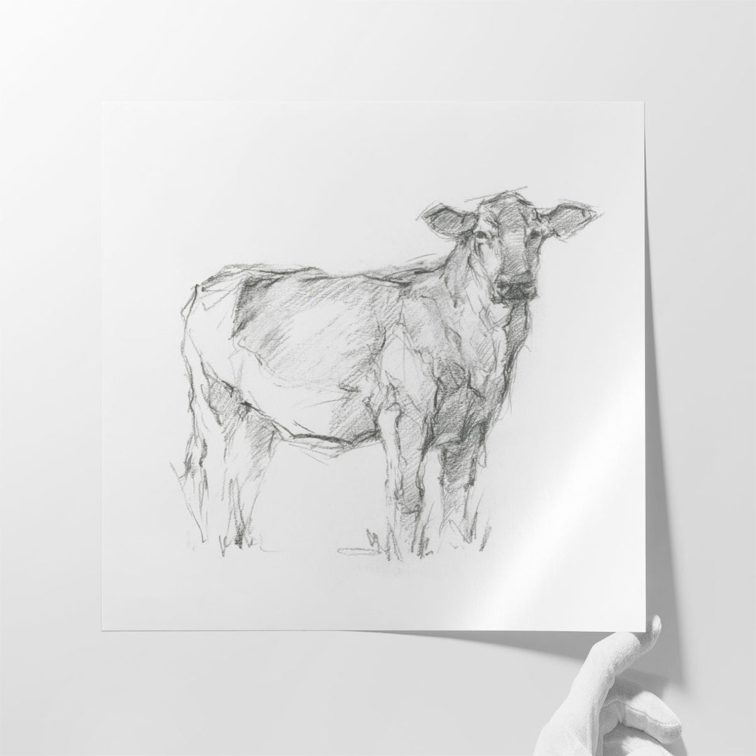 Bovine Study I - Canvas Print Wall Art