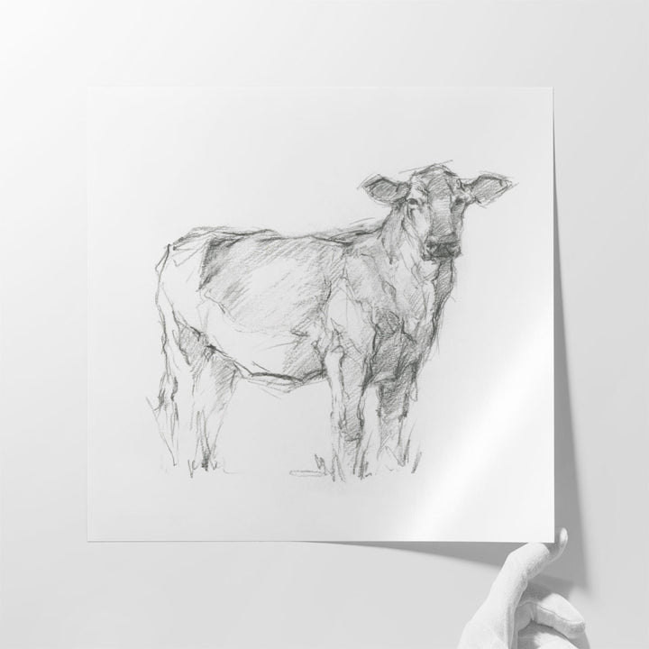 Bovine Study I - Canvas Print Wall Art