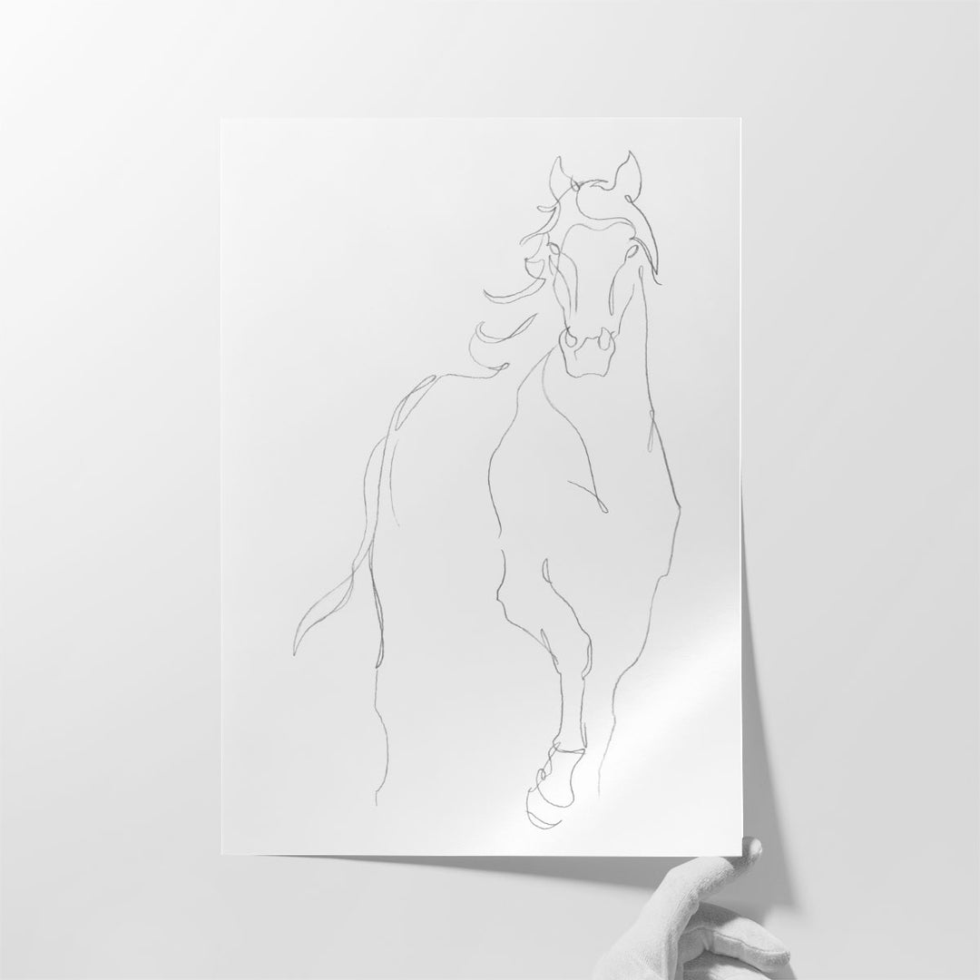 Horse Contour I - Canvas Print Wall Art