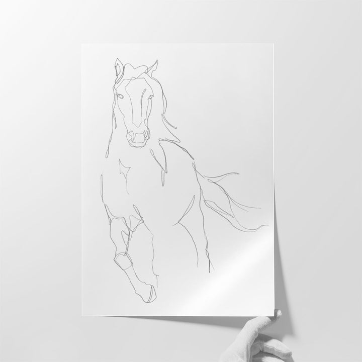 Horse Contour II - Canvas Print Wall Art