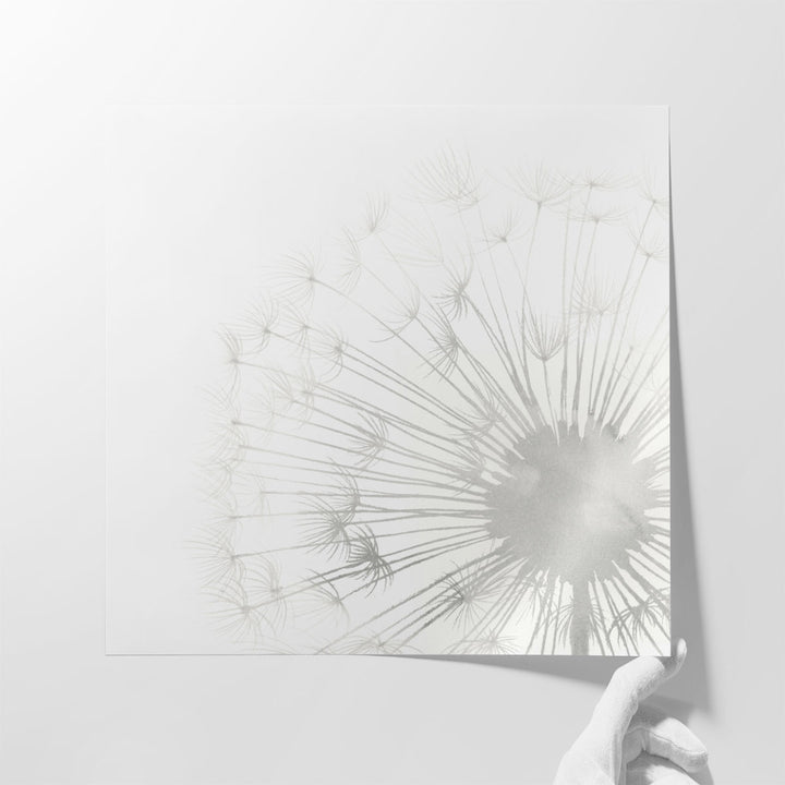 Dandelion Whisper II - Canvas Print Wall Art