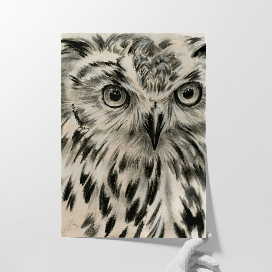 Charcoal Owl I - Canvas Print Wall Art