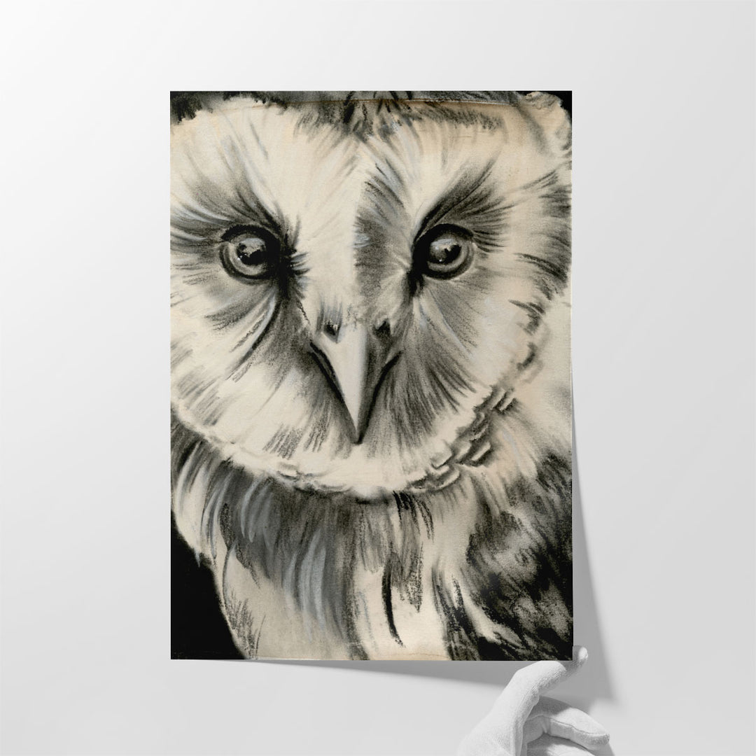 Charcoal Owl II - Canvas Print Wall Art