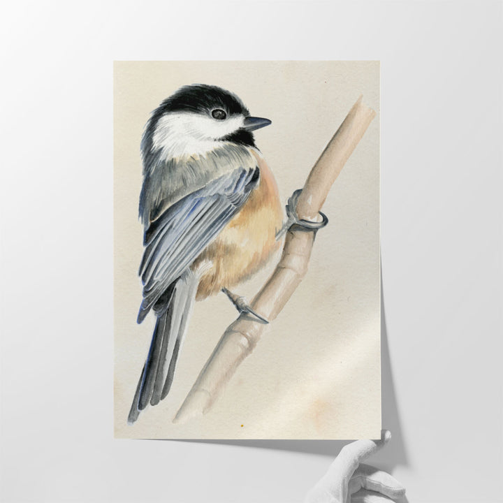 Little Bird on Branch II - Canvas Print Wall Art