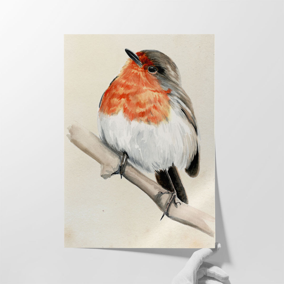 Little Bird on Branch IV - Canvas Print Wall Art