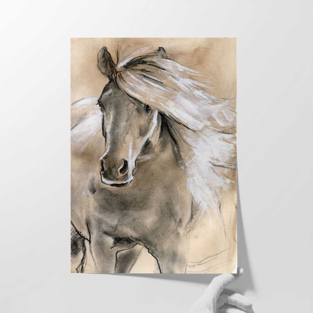 Sketched Horse I - Canvas Print Wall Art