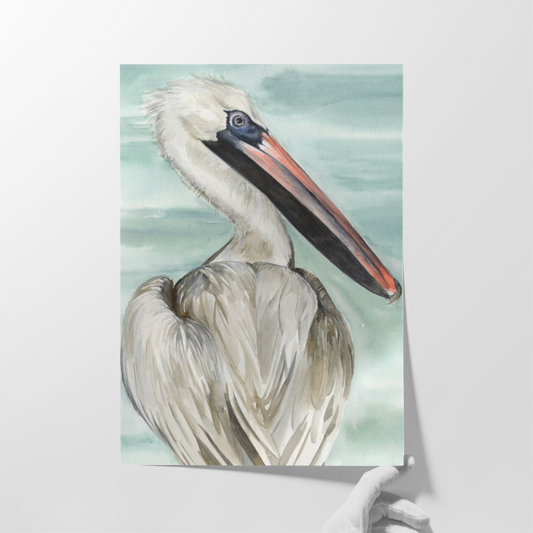 Turquoise Pelican I - Canvas Print Wall Art