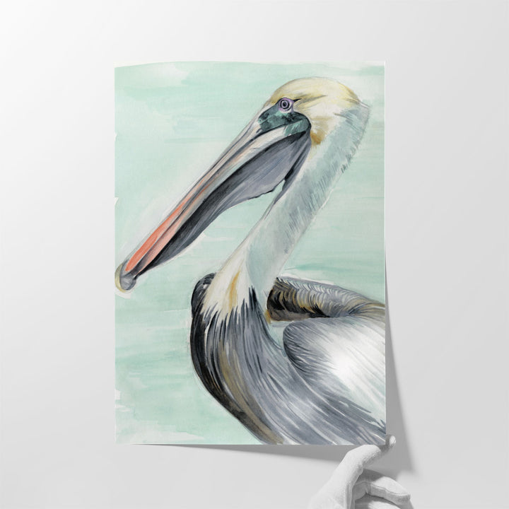 Turquoise Pelican II - Canvas Print Wall Art