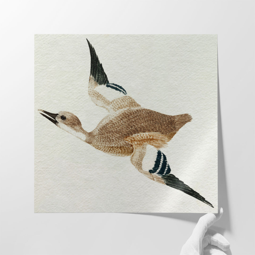 Flying Ducks II - Canvas Print Wall Art