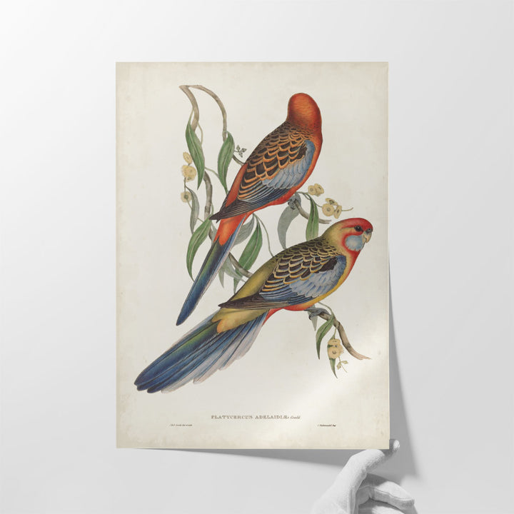 Tropical Parrots II - Canvas Print Wall Art