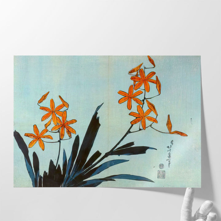 Orange Orchids - Canvas Print Wall Art