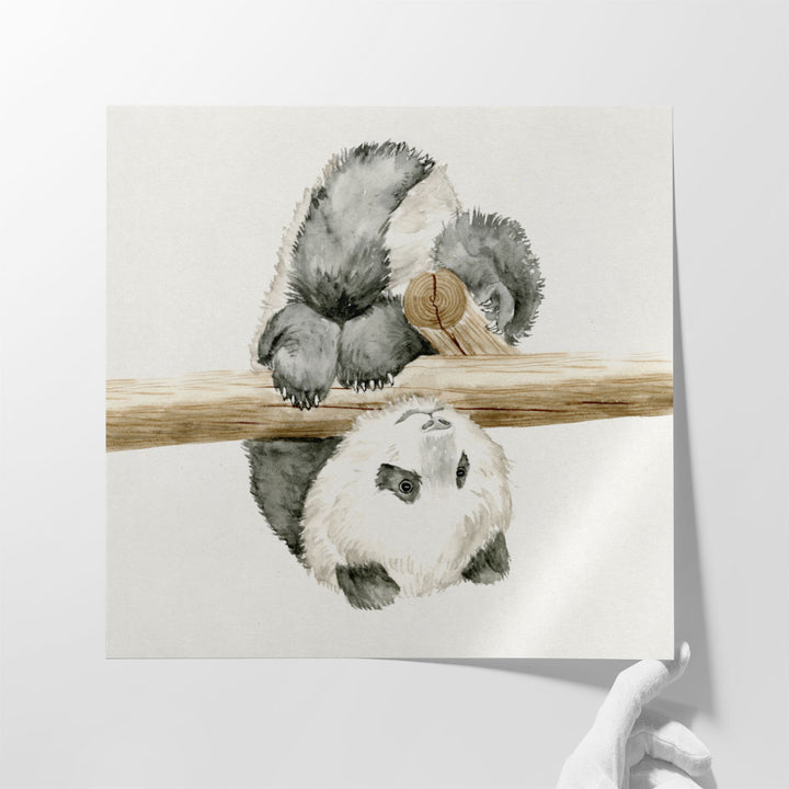 Baby Panda II - Canvas Print Wall Art