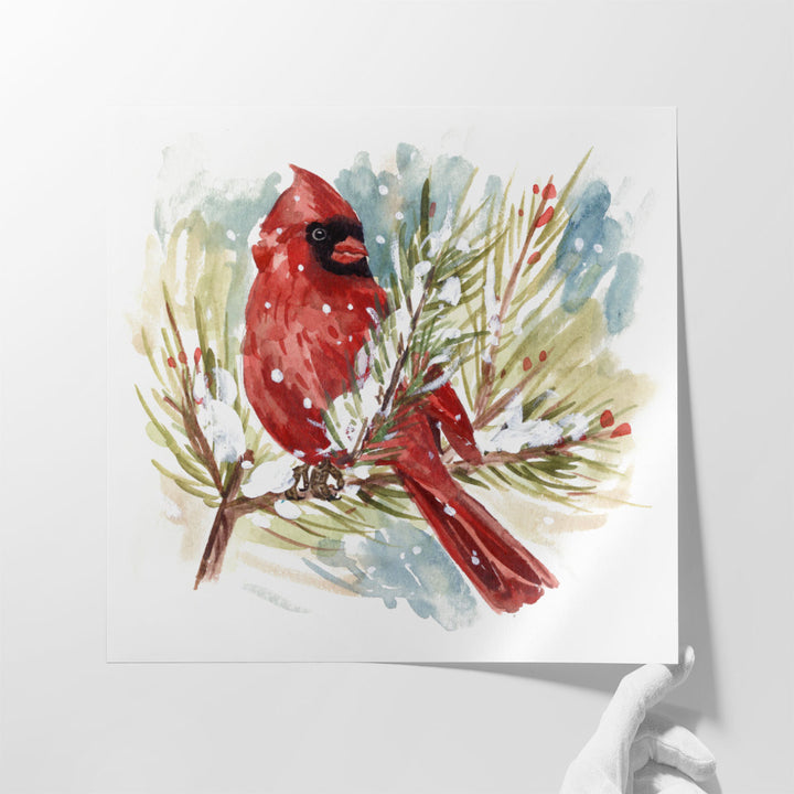 The Cardinal I - Canvas Print Wall Art