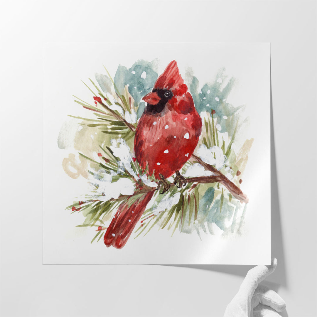 The Cardinal II - Canvas Print Wall Art