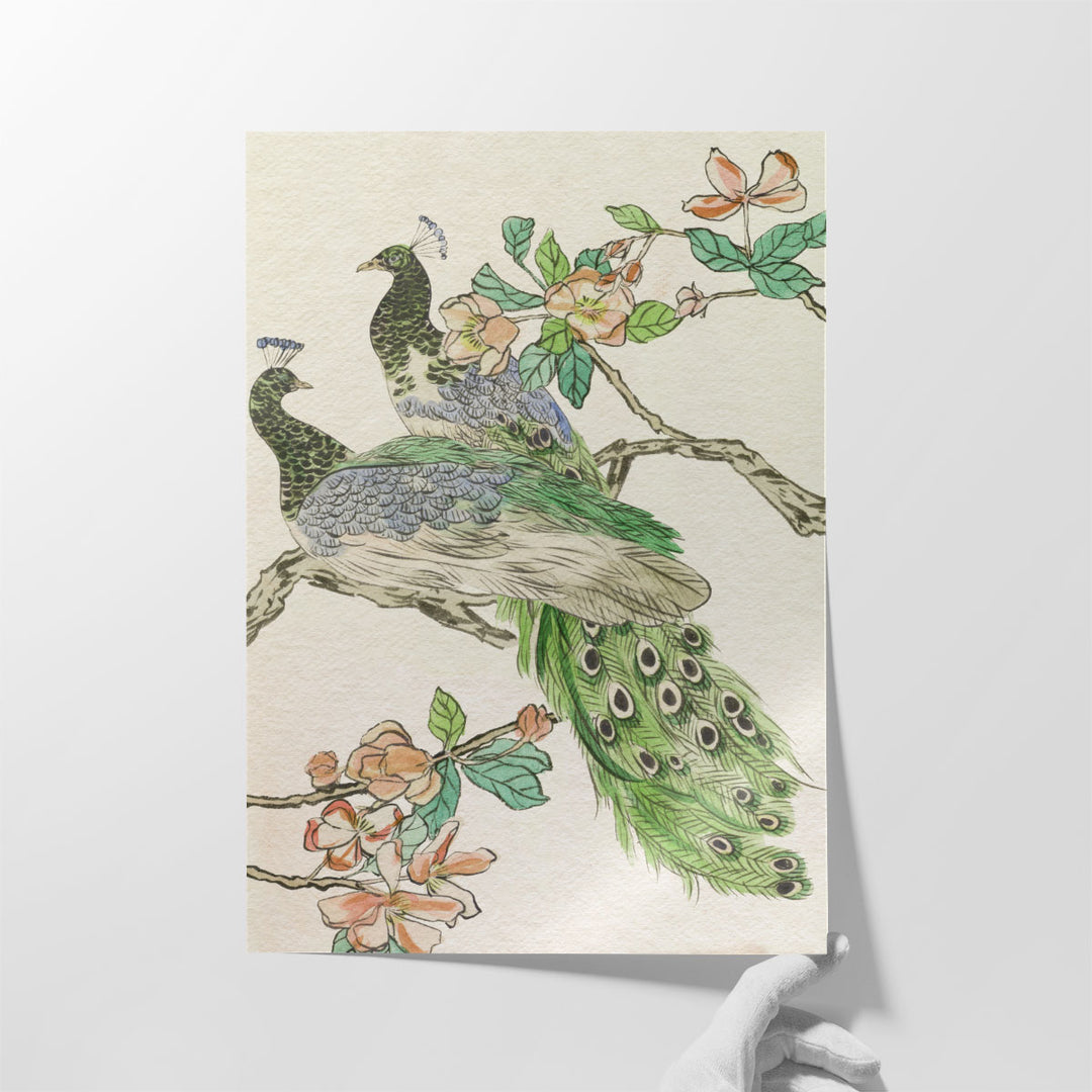 Emerald Peacock II - Canvas Print Wall Art