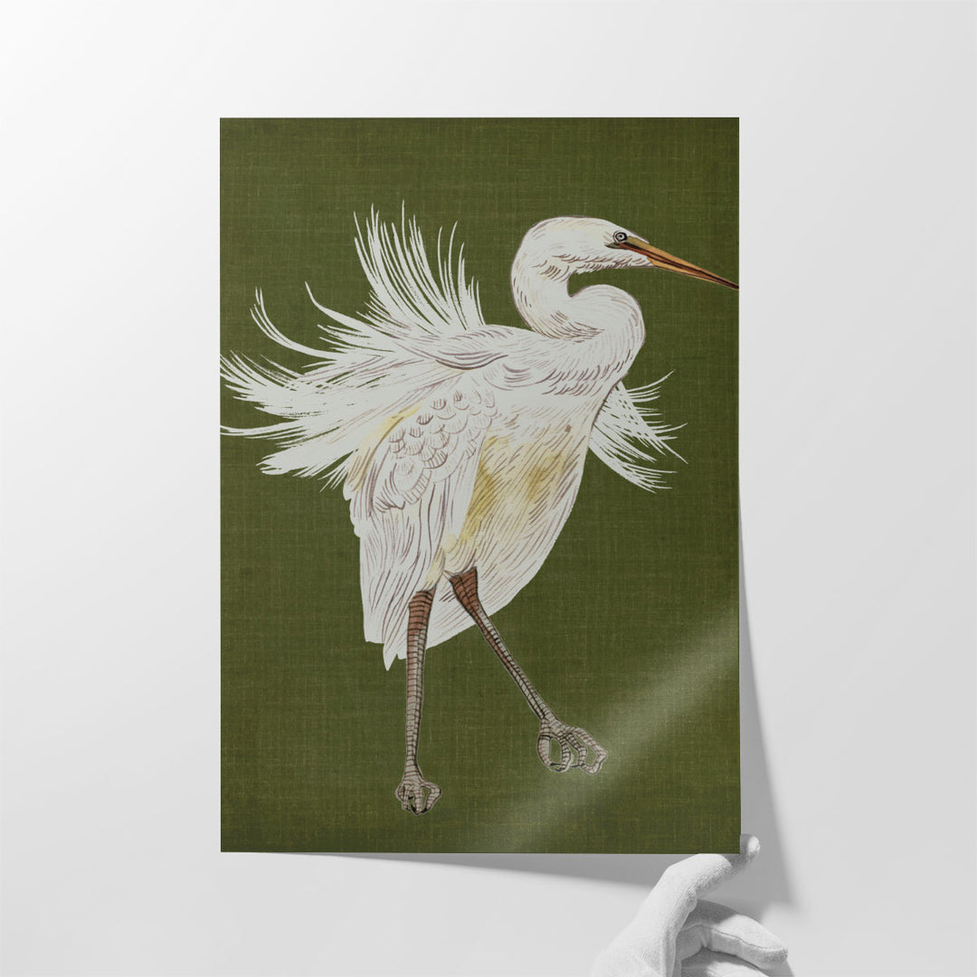 Heron Plumage I - Canvas Print Wall Art