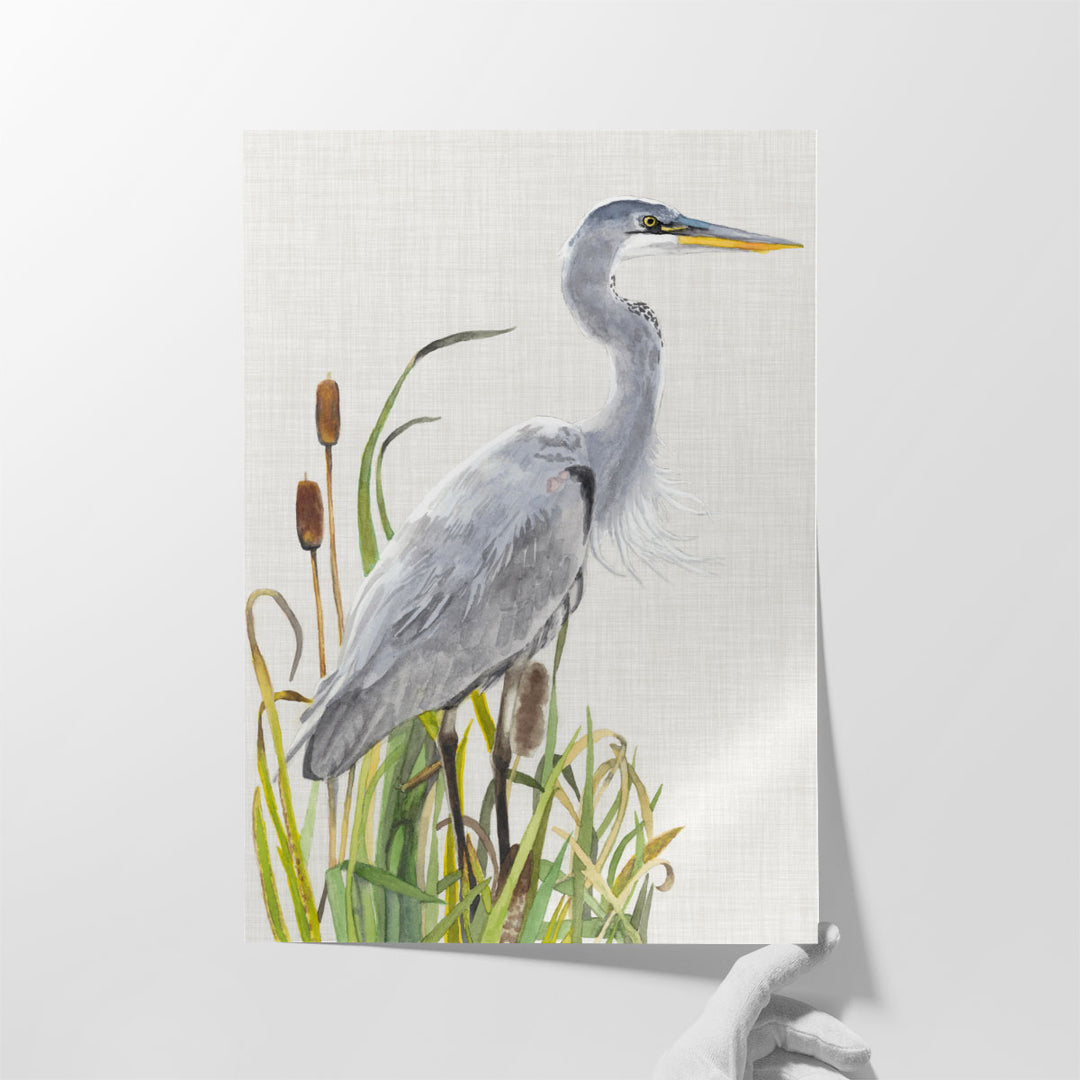 Waterbirds and Cattails I - Canvas Print Wall Art