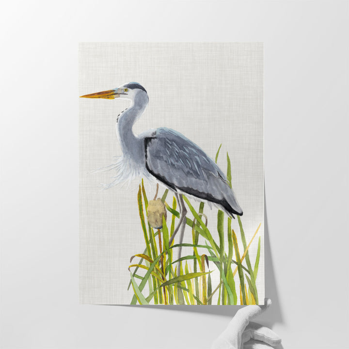 Waterbirds and Cattails II - Canvas Print Wall Art