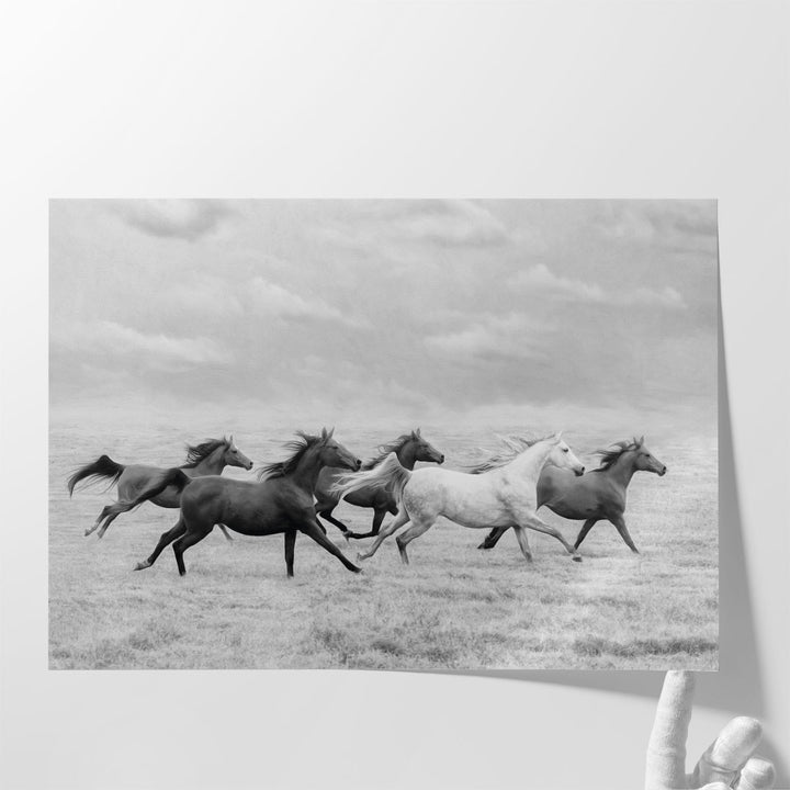 Horse Run I - Canvas Print Wall Art